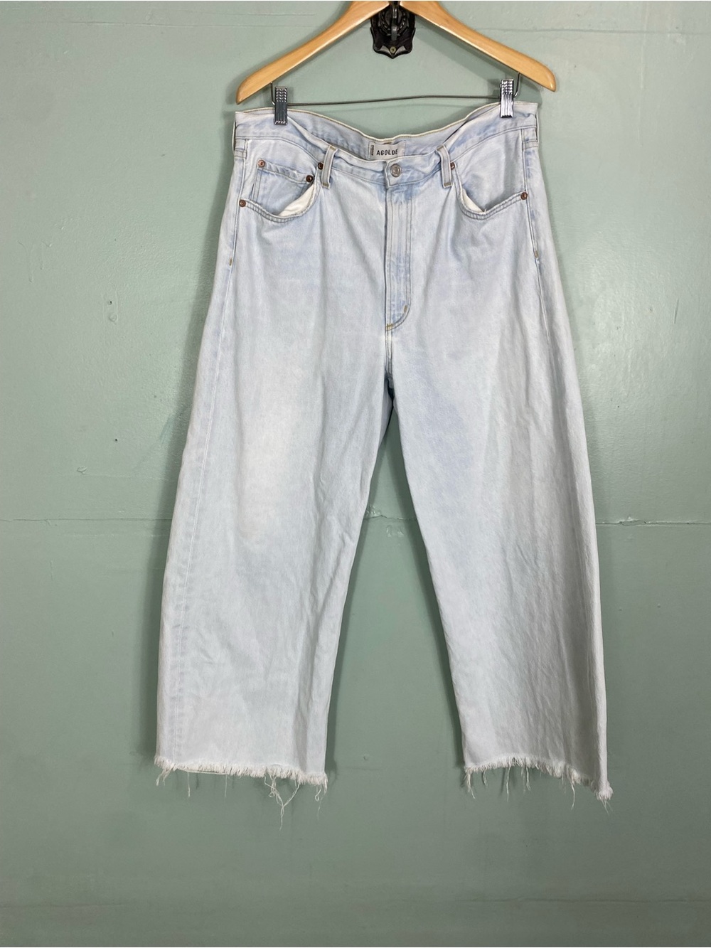 Agolde Low Curve Fray Jean In Flourish‎ Blue Barrel Size 32